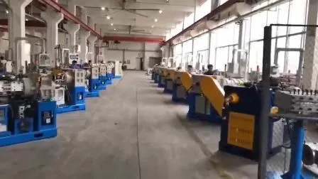 직업적인 제조자 150mm EPDM 진공 찬 급식 고무 압출기 기계